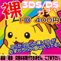 【GAMEソフト】DS・3DSガチャ追加完了!!